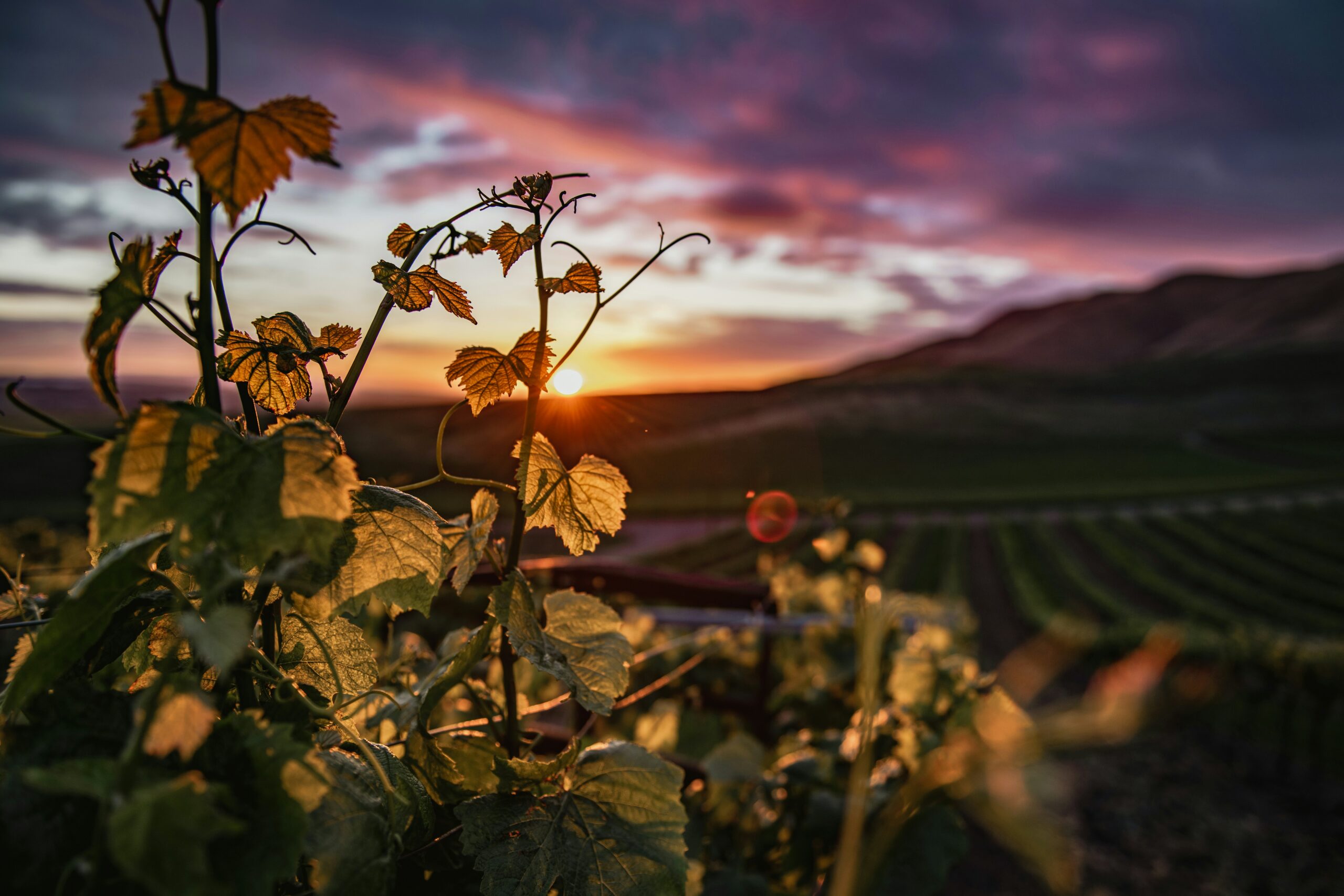tim-mossholder-m87FcHMYtyM-unsplash